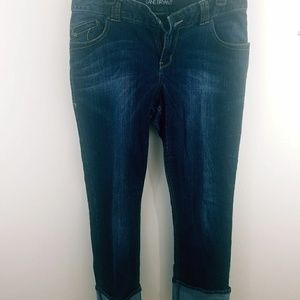 Lane Bryant jeans